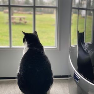 Meet your Posher, Ella